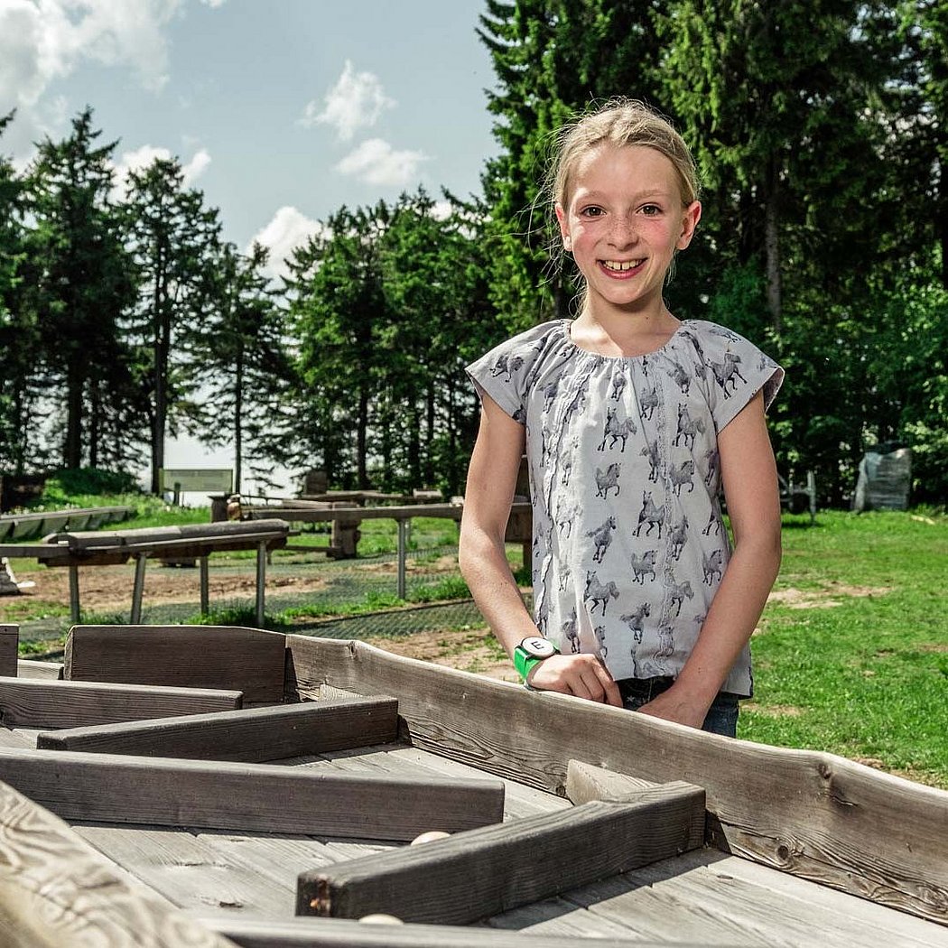 Wo Holzkugel kaufen? | Wasserkuppe