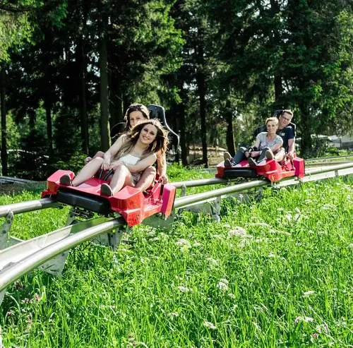 Rhönbob-Sommerrodelbahn | Wasserkuppe