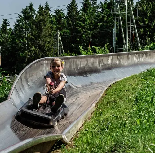 Doppel-Sommerrodelbahn | Wasserkuppe